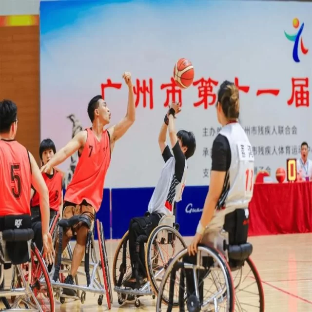乒乓球冠军竞争格局的全新数据解读与趋势分析